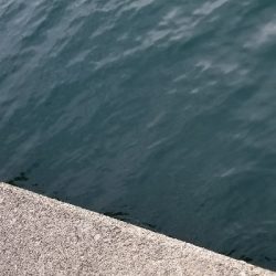 豆あじいっぱい中サバも