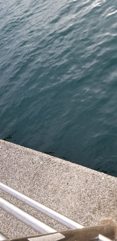 豆あじいっぱい中サバも