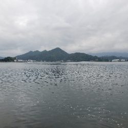 今シーズン初青物‼️