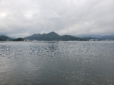 今シーズン初青物‼️