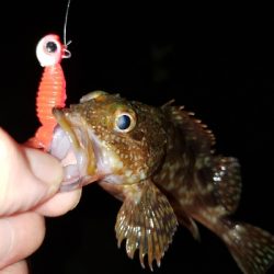 ジグヘッドに‼️