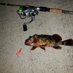 アーバンサイドゲーム‼️