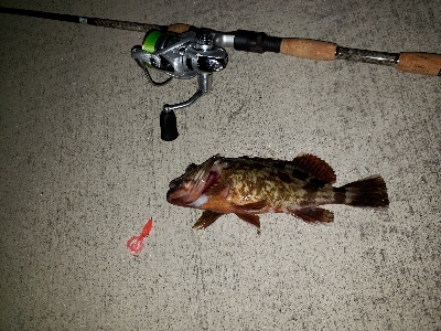 アーバンサイドゲーム‼️