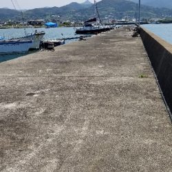 チヌ落としこみ