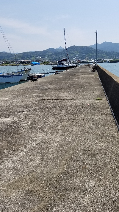 チヌ落としこみ