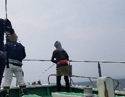 相模湾 夏到来☀️