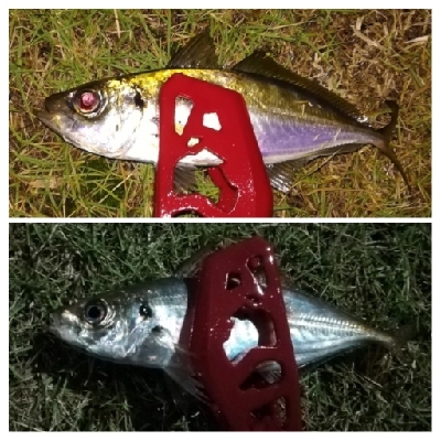 アジンガー1900〜2045