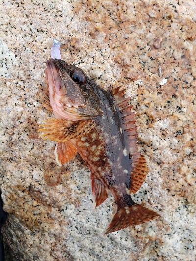 どんよりした天気の中