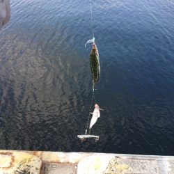 ベアリング換装