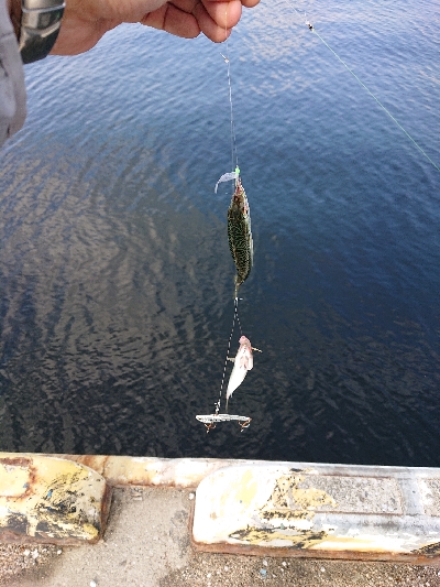 ベアリング換装