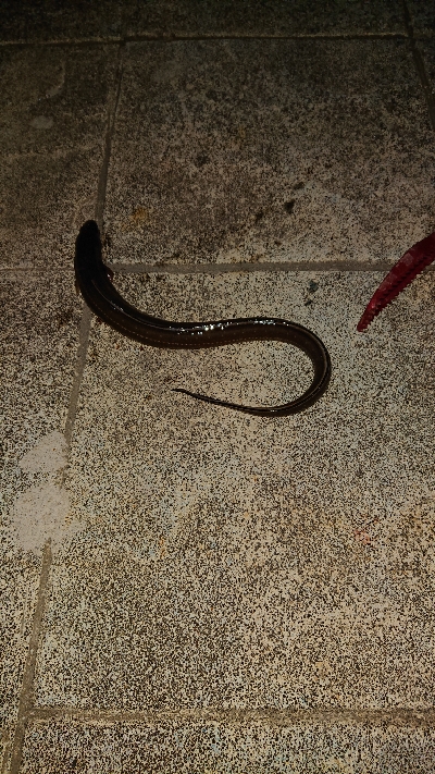 小潮なのに・・・