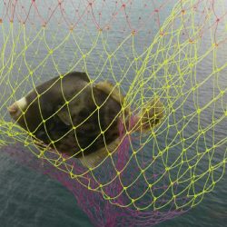 梅雨の合間の釣行