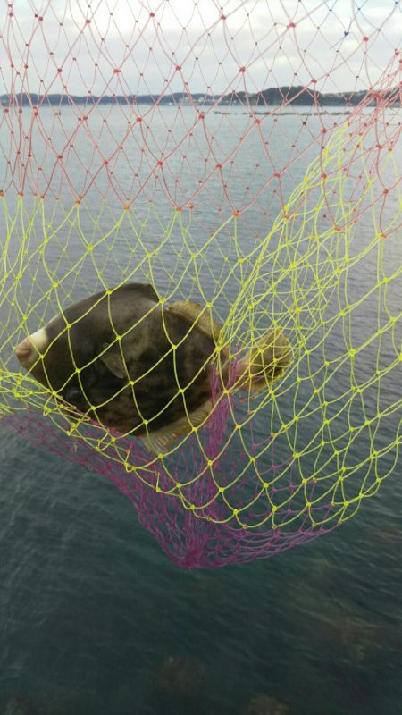 梅雨の合間の釣行