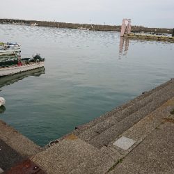 久しぶりのシーバス