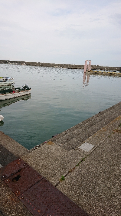 久しぶりのシーバス