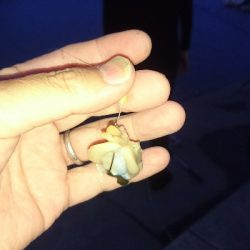 夜釣りで太〜い天然うなぎ2匹