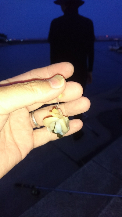 夜釣りで太〜い天然うなぎ2匹