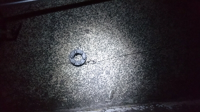 ブッコミ釣りでクロダイ