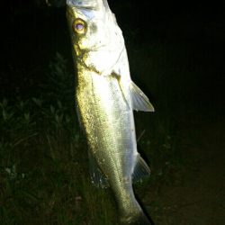 リベンジ成功！