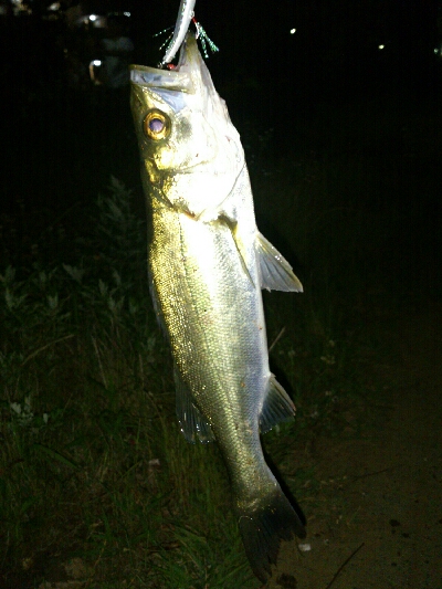 リベンジ成功！