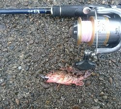 雨の弱まった時に