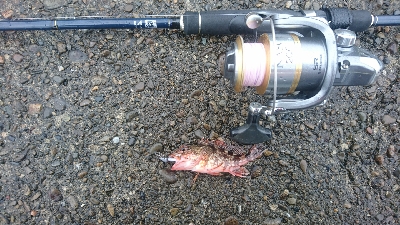 雨の弱まった時に