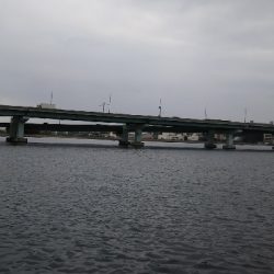 渋くなってきた。