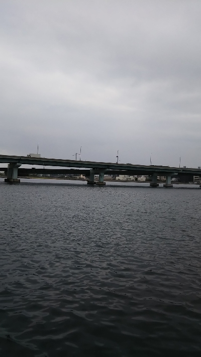 渋くなってきた。