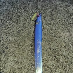 釣り部 釣行記 32