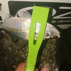 楽しみになってきました