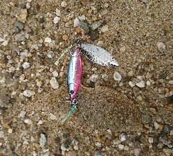 キス釣り…砂入れで不発に(>_<)