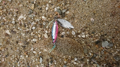 キス釣り…砂入れで不発に(>_<)