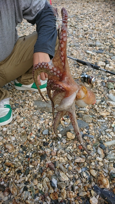 ちょい投げで思わぬ外道が…