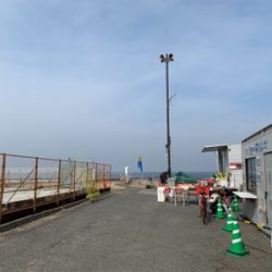 ツバスと小さなタコ