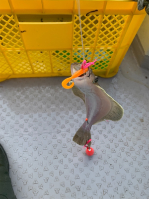 ソウハチカレイシーズンイン!