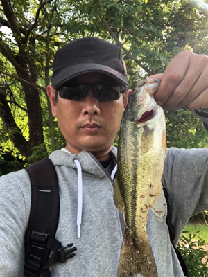 小バス釣りに行ってきました。
