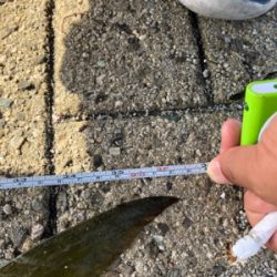 ショアジギング