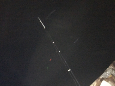 砂上げ場にて夕方から爆釣!