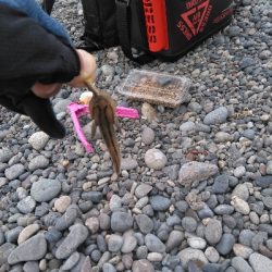 キスを求めて二日目