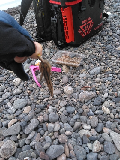 キスを求めて二日目