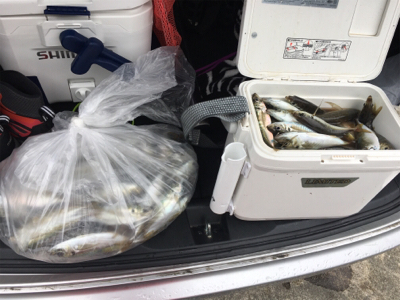 3桁オーバー(爆釣)