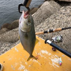 今シーズン初フィッシュ