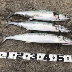 疲れた身体に鞭打って