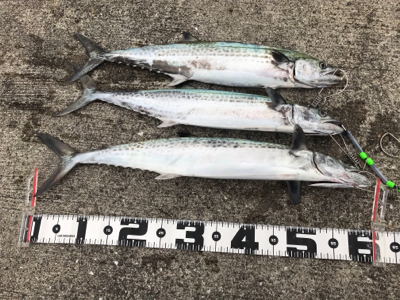 疲れた身体に鞭打って