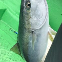 ライトジギング