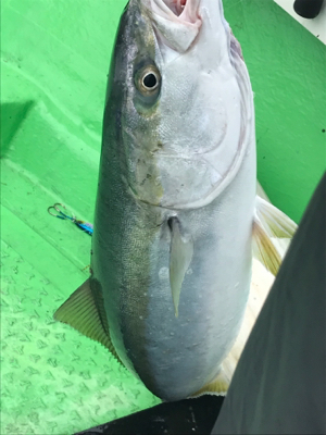 ライトジギング