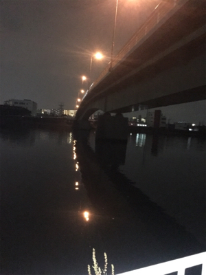 シーバスやっと出たー