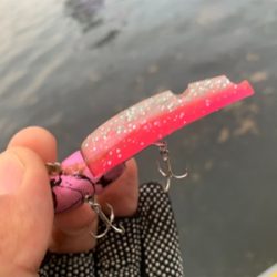 テクトロメバルといつものツバス。