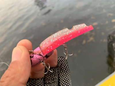 テクトロメバルといつものツバス。