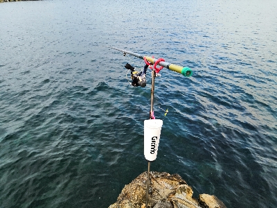 自作ヤエンでアオリイカ